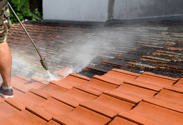 Best Roof Power Washing Services  in Gonzalez, FL