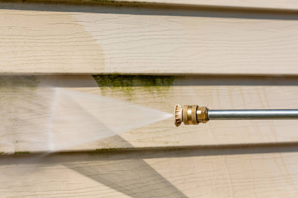 Best Affordable Pressure Washing  in Gonzalez, FL